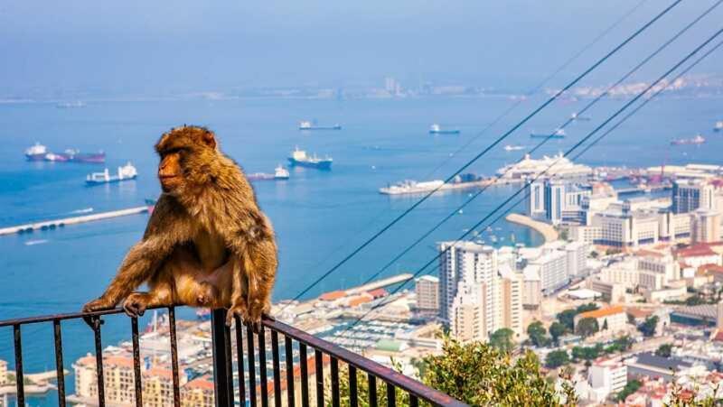 Apartamentos Albeniz Αλγεθίρας Εξωτερικό φωτογραφία